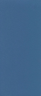 RAL 5023 (глубокий голубой)